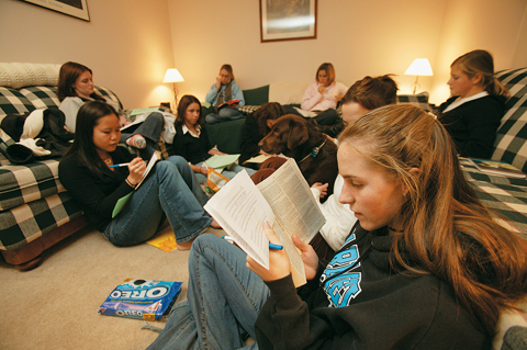 Bible Study3